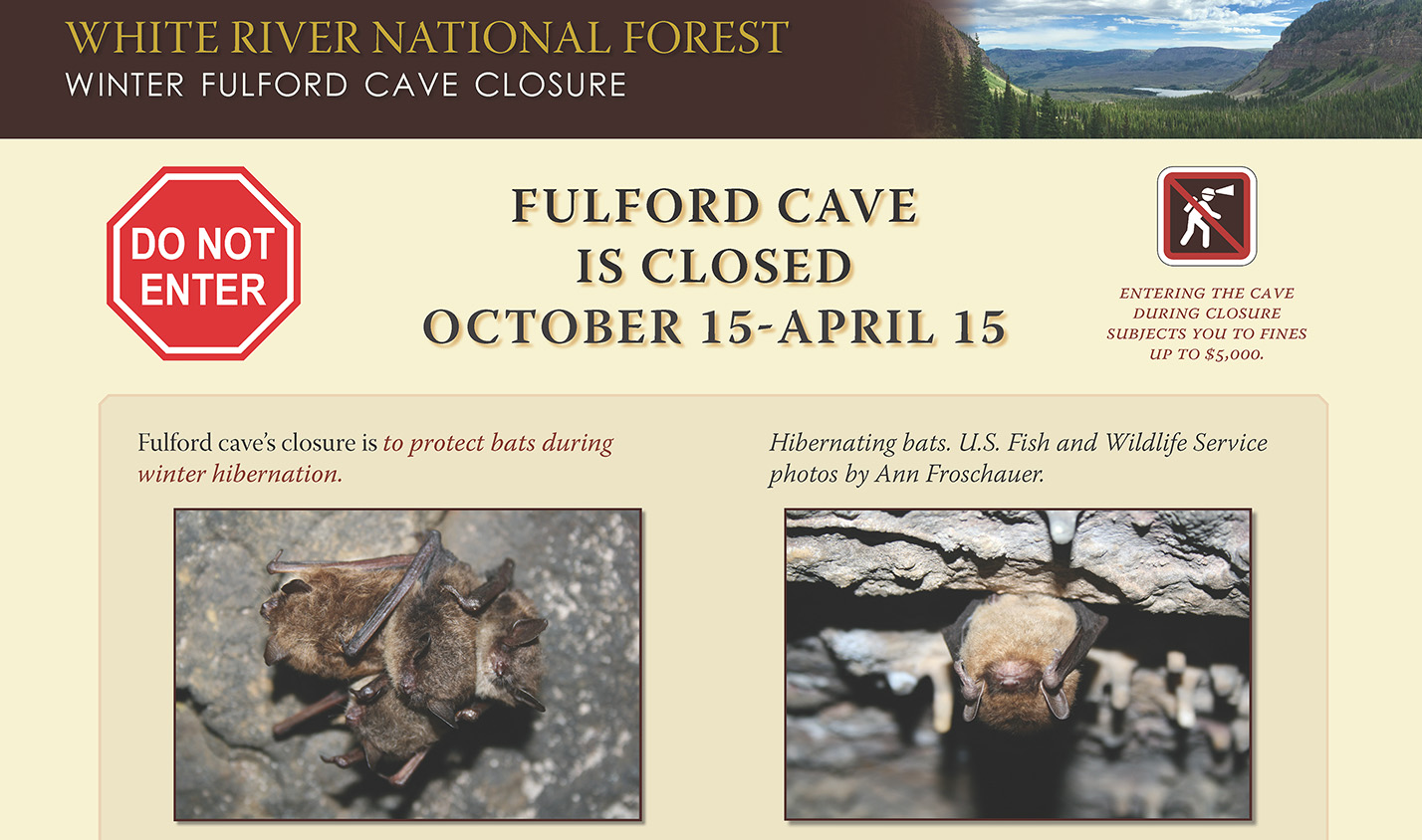 Interpretive sign displaying information about bats.